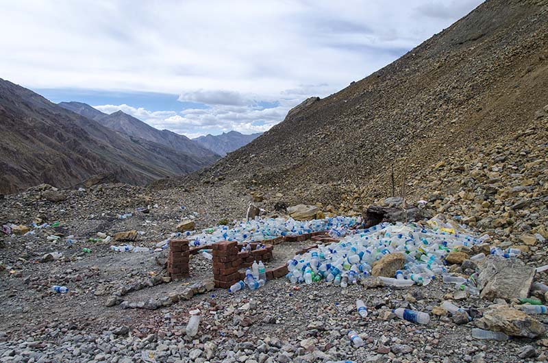 Saving the grey ghost of Ladakh - The Week