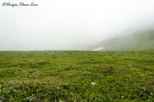 vehicles 10 years or older can not cross rohtang pass anymore