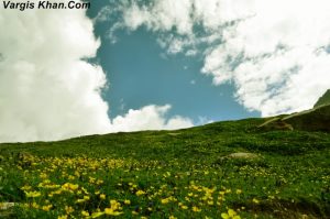 non HP vehicles to obtain permits for rohtang