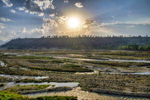 shopian