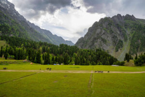 Kashmir Tourist Camp to Sonamarg
