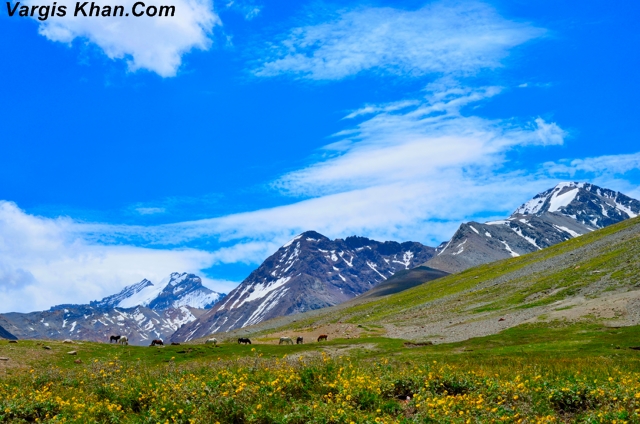 Kunzum Pass