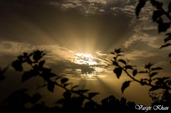 flowers-at-india-gate-4