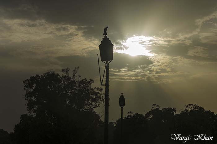 india-gate-photography-5