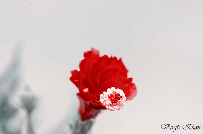 photography-at-safdarjung-tomb-9