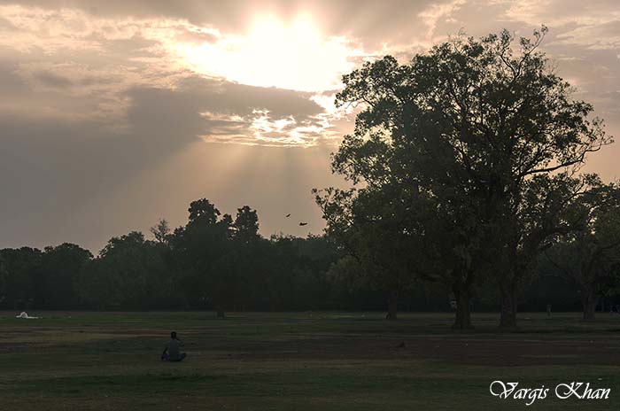 yoga-at-india-gate