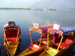 shikara in dal lake