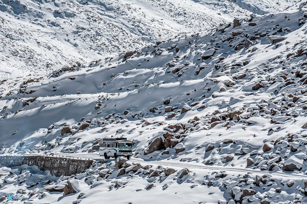 public transport in ladakh