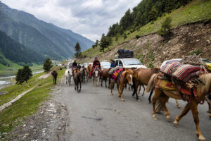 Sonamarg to Zojila Pass to Kargil
