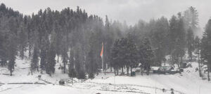 Srinagar to Gulmarg in January - February