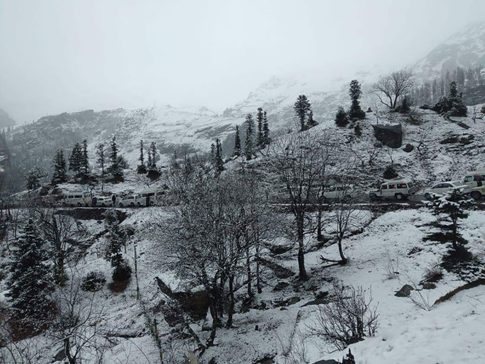 Snowfall In Manali January 2025 - Latia Christyna