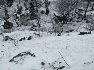 Snowfall at Rohtang, Kunzum Pass, Baralacha La & Zojila