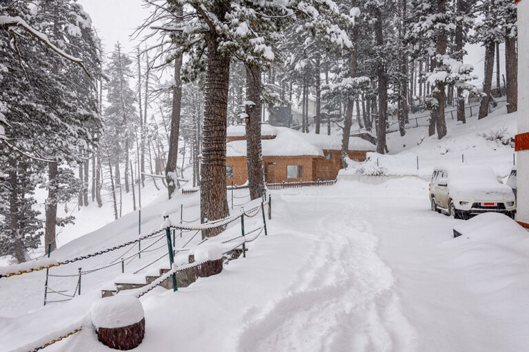 Gulmarg in Winter - A COMPLETE Travel Guide - Vargis Khan