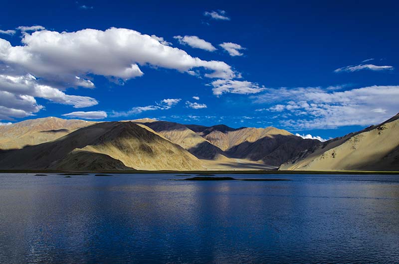 pangong to tso moriri via chushul