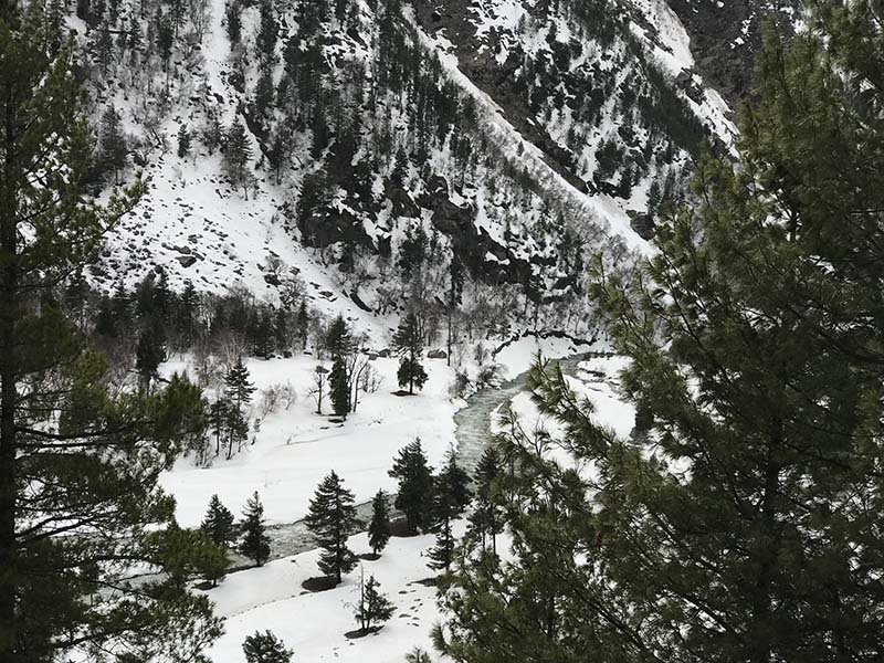 snowfall in shimla