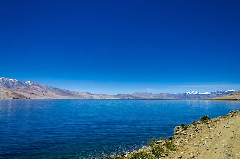 leh to tso moriri bus service