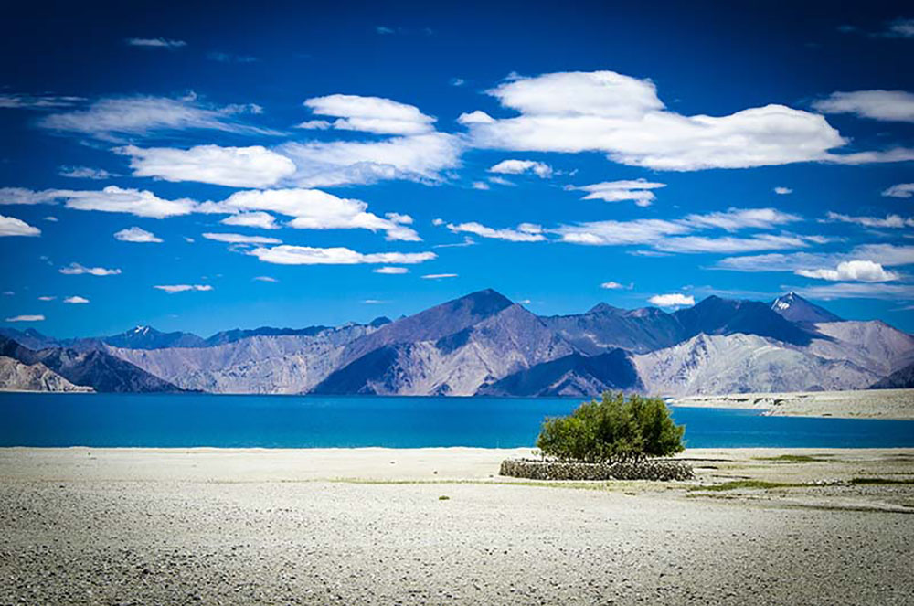 What to do in Ladakh