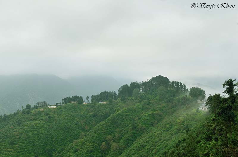 trek near mcleodganj