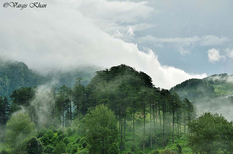 how to plan your trip to dhanaulti