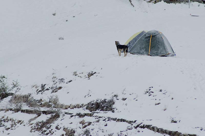 camping in auli