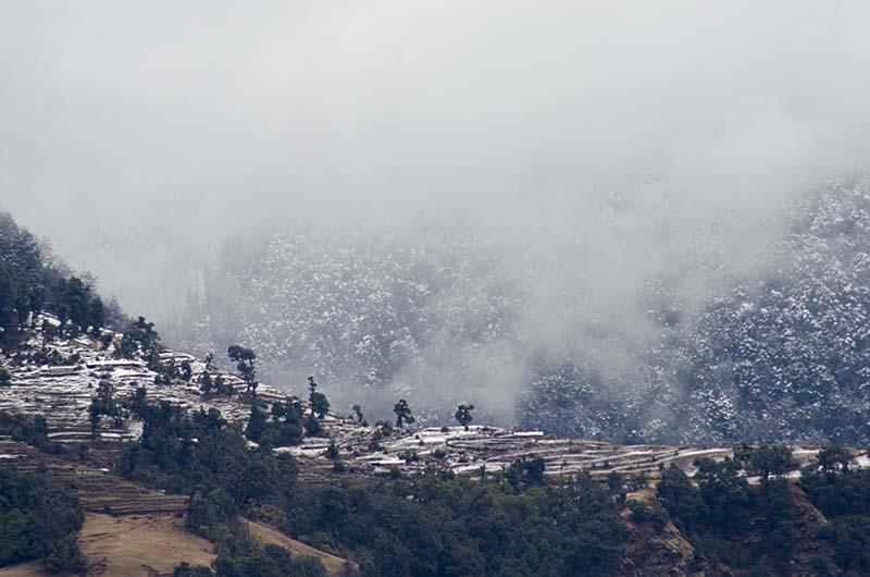 snowfall in sikkim