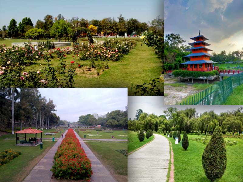 Places to Visit in Chandigarh and Things to Do - Vargis Khan