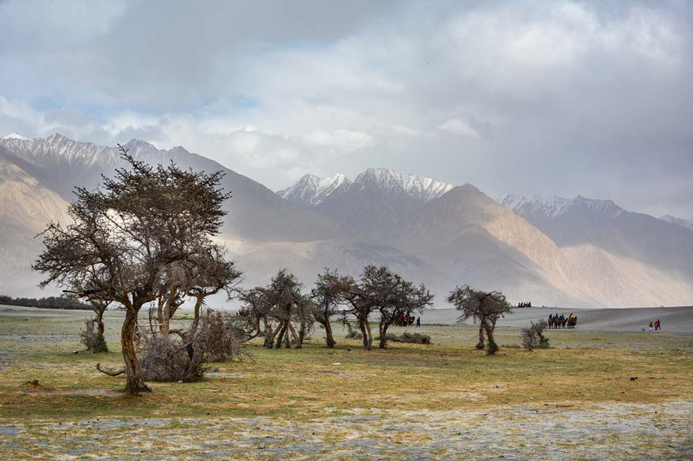 nubra valley