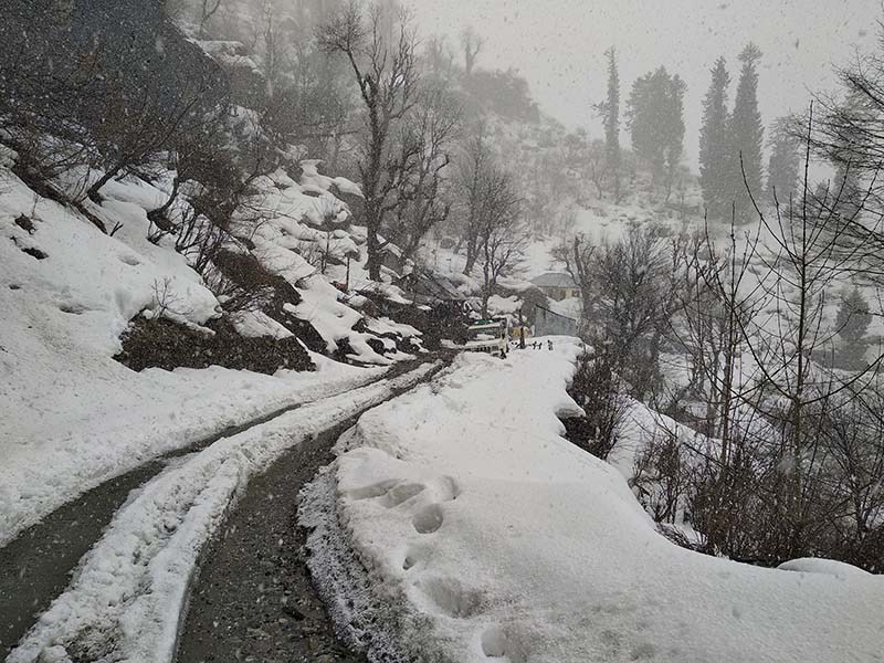 snowfall in solang valley