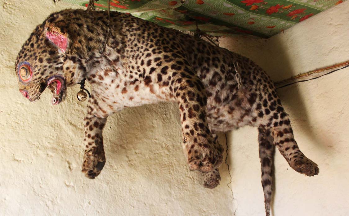 leopard in komic monastery