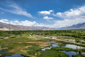 Shey Palace and Monastery