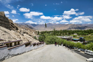 Shey Palace and Monastery