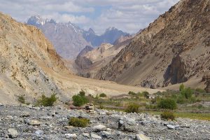 trekking in ladakh