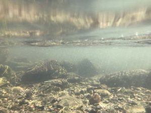 bike trip to dharamshala