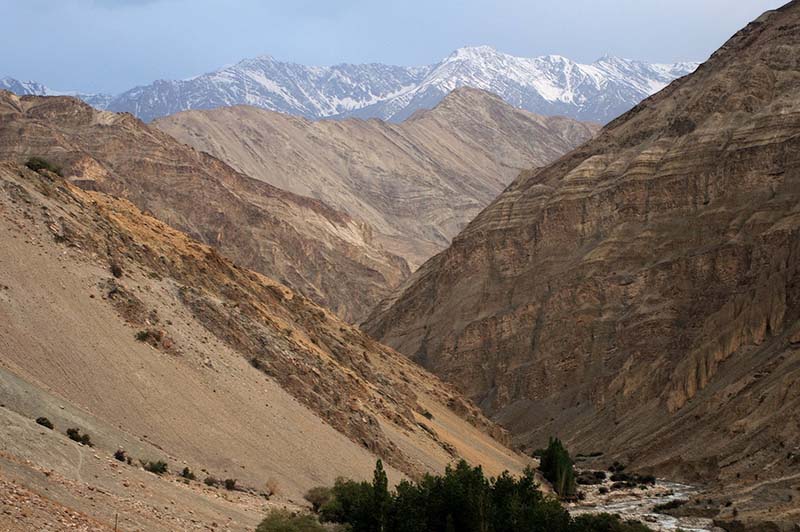 trekking in ladakh