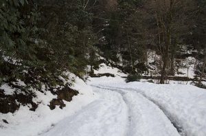 Tips for Cold Weather Motorcycle Riding