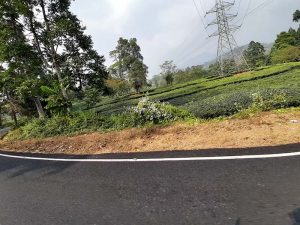 bike trip to Darjeeling