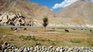 cycling in spiti valley