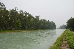 sundernagar to delhi