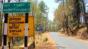 best time to visit binsar