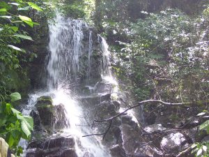waterfall in chaukori