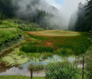 best time to visit sainj valley