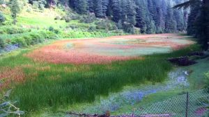 what to see in sainj valley