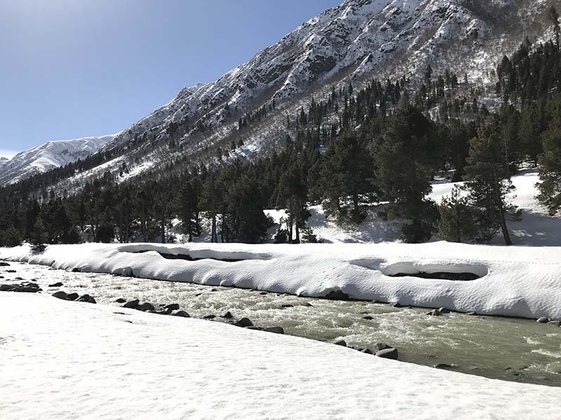 chitkul in march