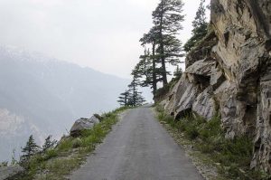 best time to visit kalpa