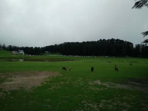 sach pass and spiti circuit