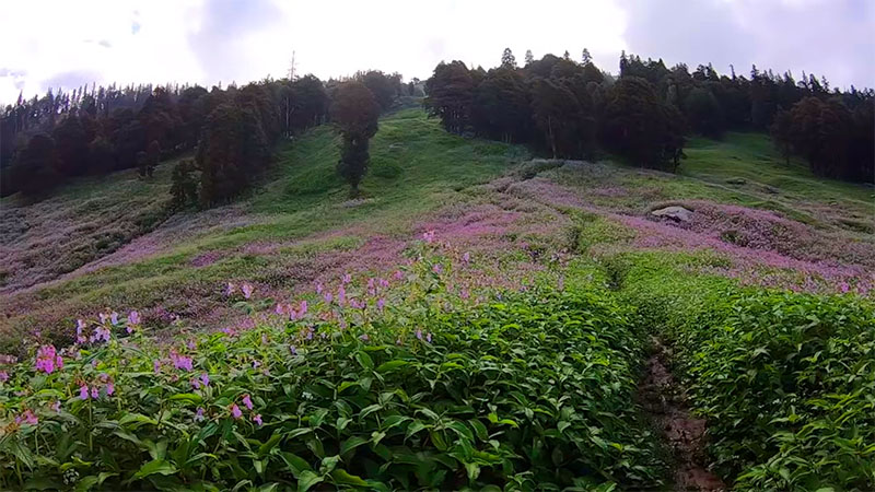 bhrigu lake trek