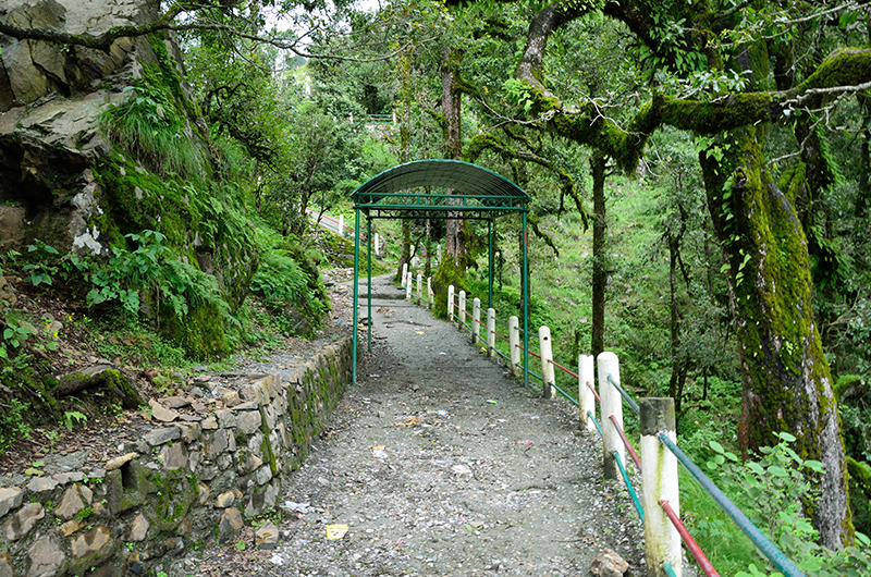 binsar wildlife sanctuary