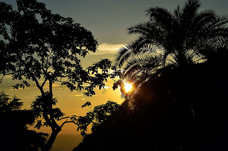 sunset in binsar