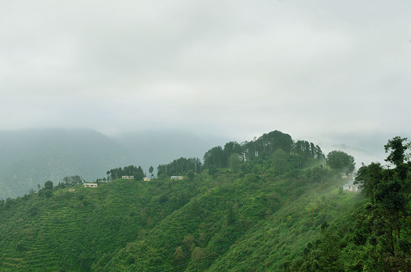 Club Mahindra Binsar Villa Almora Resort, Uttarakhand