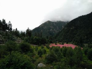 kalpa to chitkul